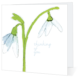 Sympathy card