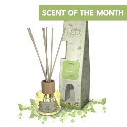 Zesty Lemongrass Diffuser